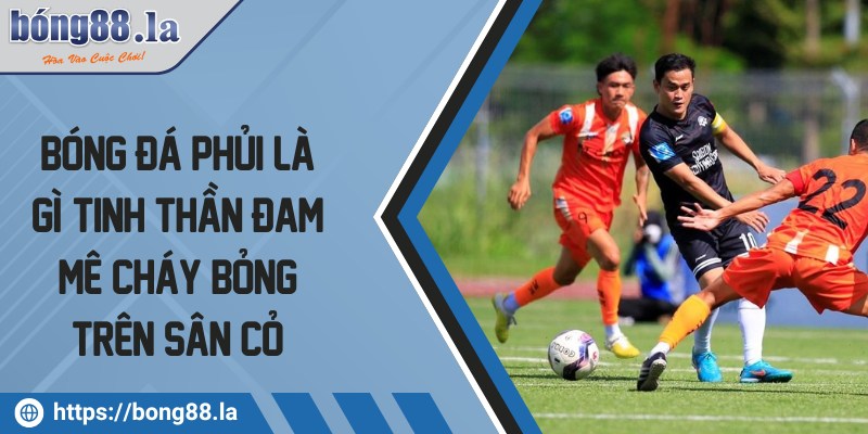 Bóng đá phủi là gì? Tinh thần đam mê cháy bỏng trên sân cỏ 5 bong da phui la gi
