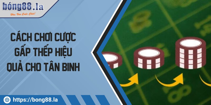 Cách chơi cược gấp thếp hiệu quả cho tân binh 3 cach choi cuoc gap thep