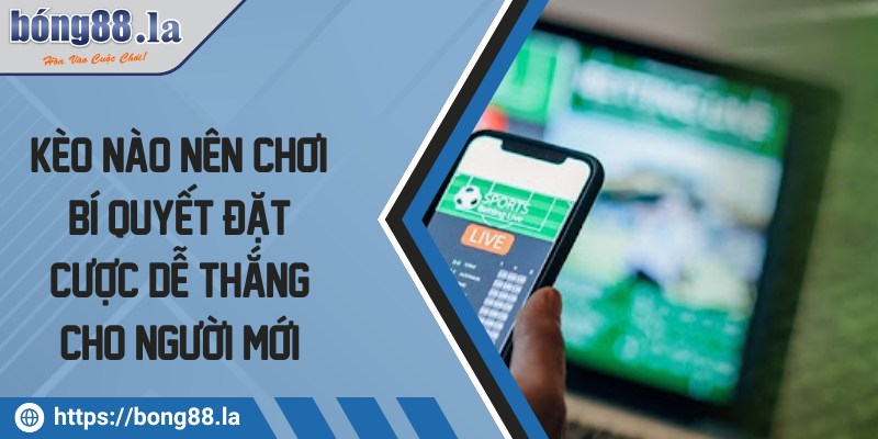 Kèo nào nên chơi? Bí quyết đặt cược dễ thắng cho người mới 2 keo nao nen choi