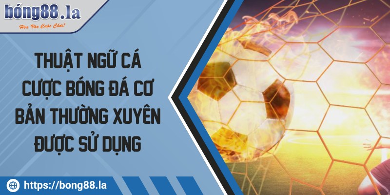 Thuật ngữ cá cược bóng đá cơ bản thường xuyên được sử dụng 6 thuat ngu ca cuoc bong da